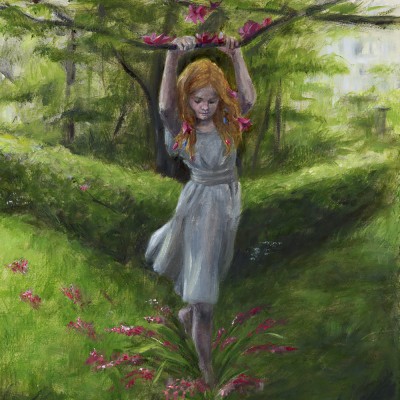 Metamorfosi Illustrata